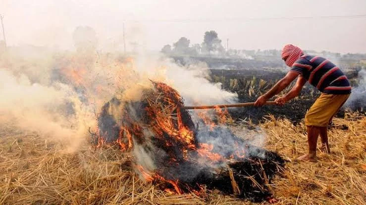 दिल्ली-एनसीआर में पराली जलाने पर सख्ती, लापरवाह अधिकारियों पर भी होगी कार्रवाई