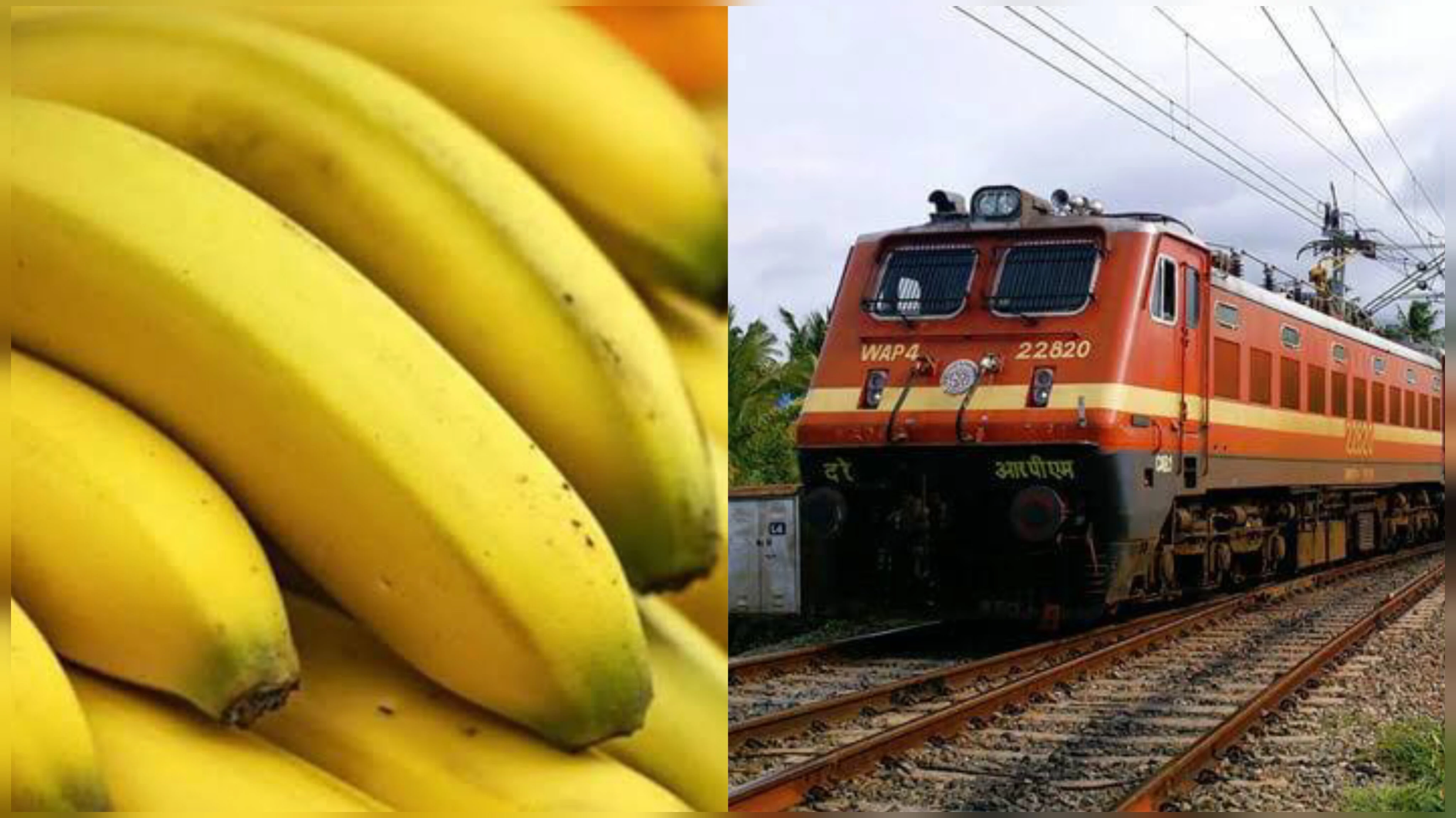 युवक को ट्रेन में केला खाना पड़ा महंगा, देना पड़ा ₹500 जुर्माना, जानें वजह