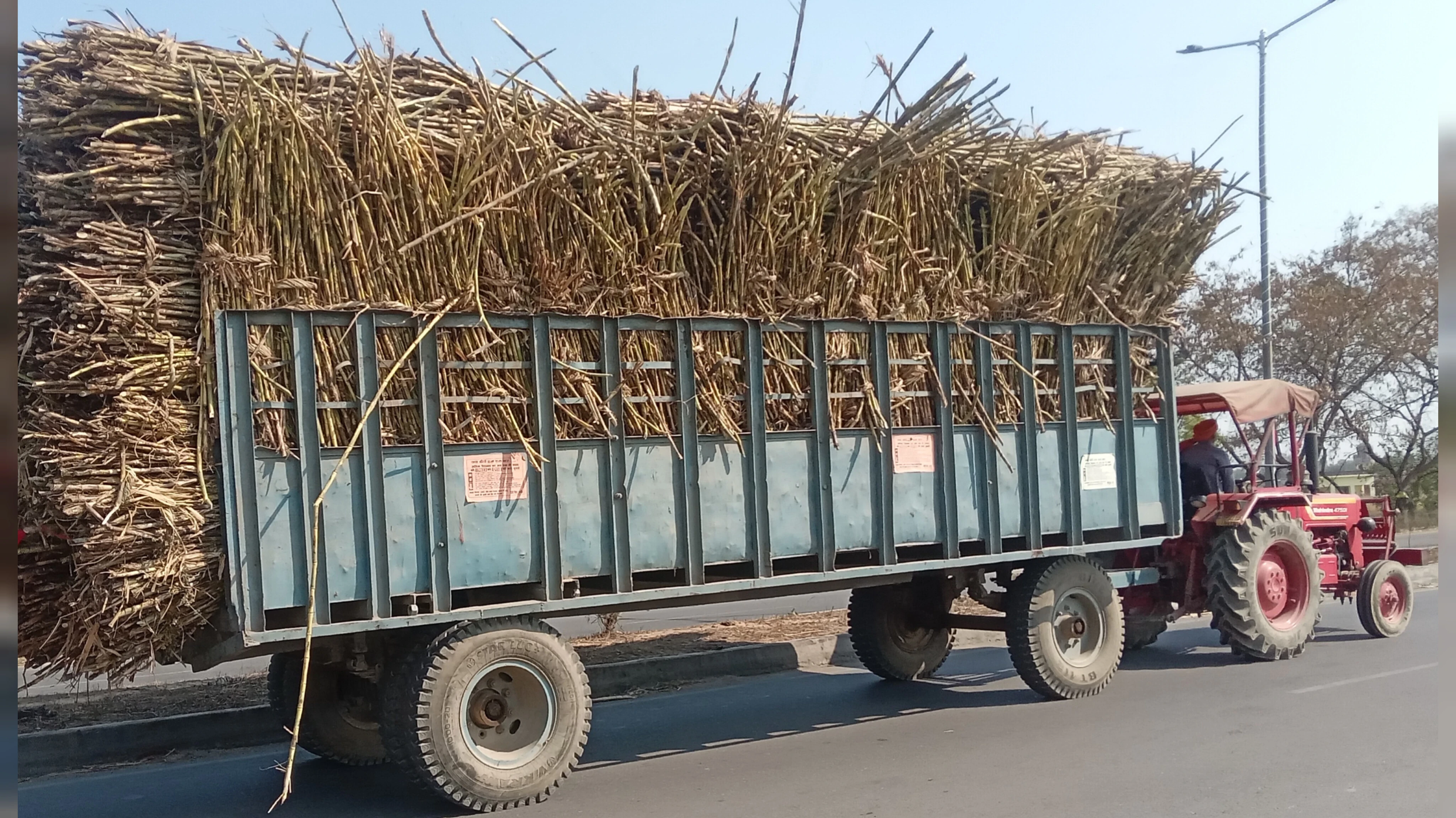 ट्रालों में गन्नों की ढुलाई पर रोक