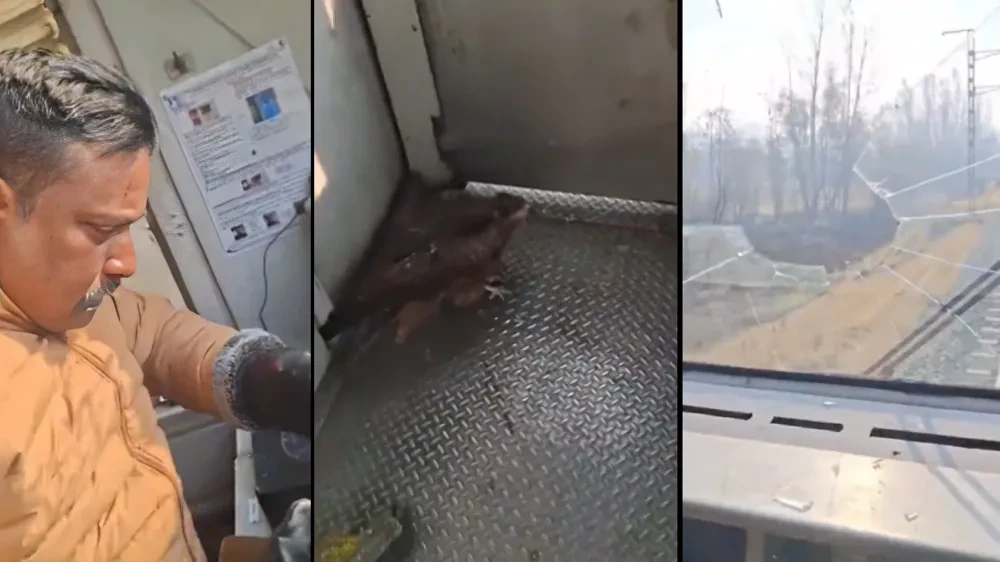 चलती ट्रेन से टकराया बाज, लोको पायलट घायल- कश्मीर में बड़ा हादसा टला