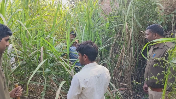 बहराइच में फिर बरपा भेड़िये का कहर, तीन साल की बच्ची को उठा ले गया जंगल की ओर