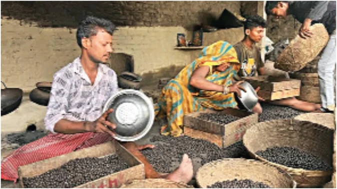 उत्तर प्रदेश में मखाना खेती को बढ़ावा देने की योजना, किसानों को मिलेगा प्रशिक्षण