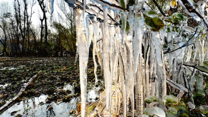 उत्तर भारत में ठंड का असर, कश्मीर में पारा माइनस 5 डिग्री तक गिरा