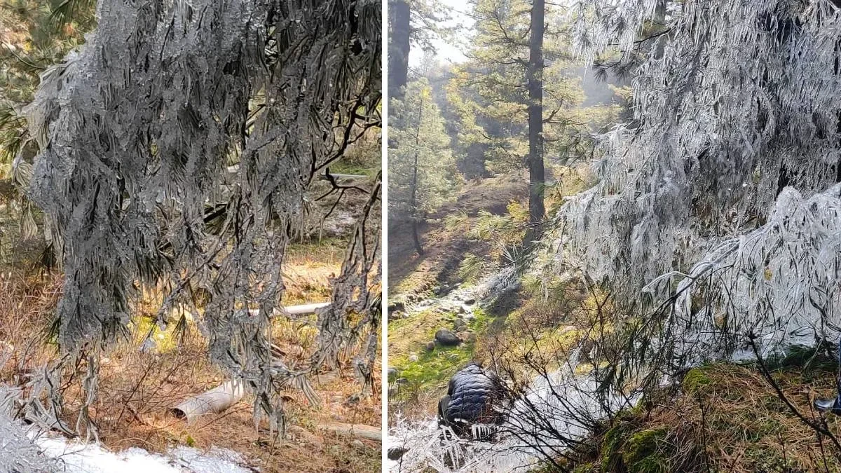 कश्मीर घाटी में ठंड की चपेट, श्रीनगर और अनंतनाग में न्यूनतम तापमान माइनस में