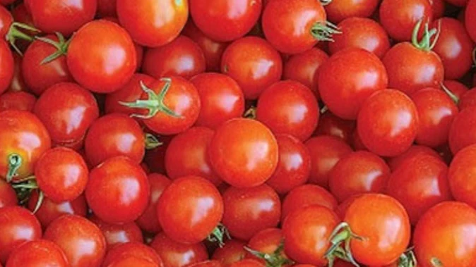 महंगाई से राहत: दिल्ली में सरकार ने सस्ते टमाटर और प्याज की शुरू की बिक्री