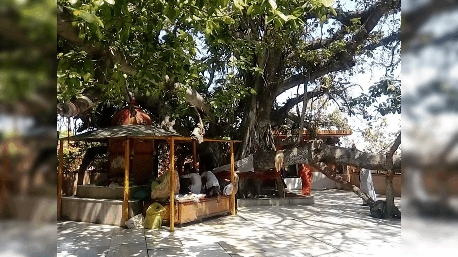 शुकतीर्थ में स्थापित हो श्रीमद्भागवत महापुराण शोध केंद्र, संस्कृत विद्वानों की मांग