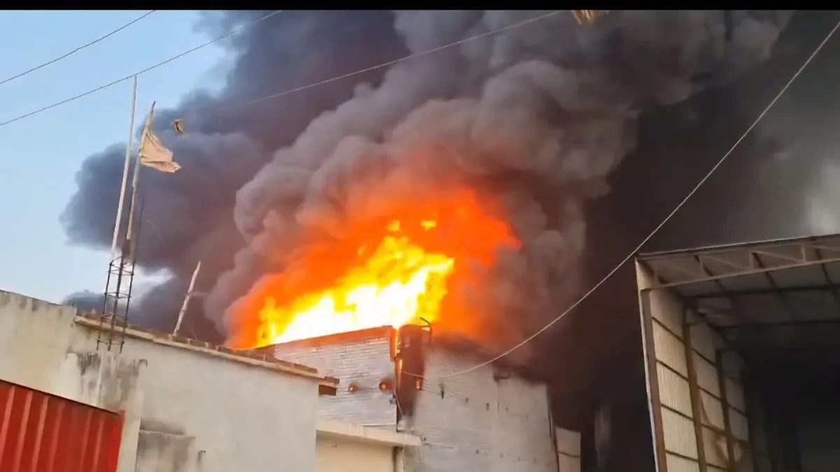 हरदोई: दोना-पत्तल इकाई में भीषण आग, फैक्टरी में रखा सामान जलकर खाक