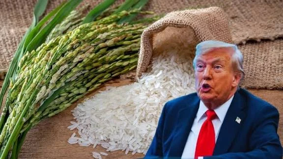 अमेरिकी किसानों की नाराज़गी पर भड़के ट्रंप, भारतीय चावल - कनाडाई खाद पर नए टैरिफ के संकेत