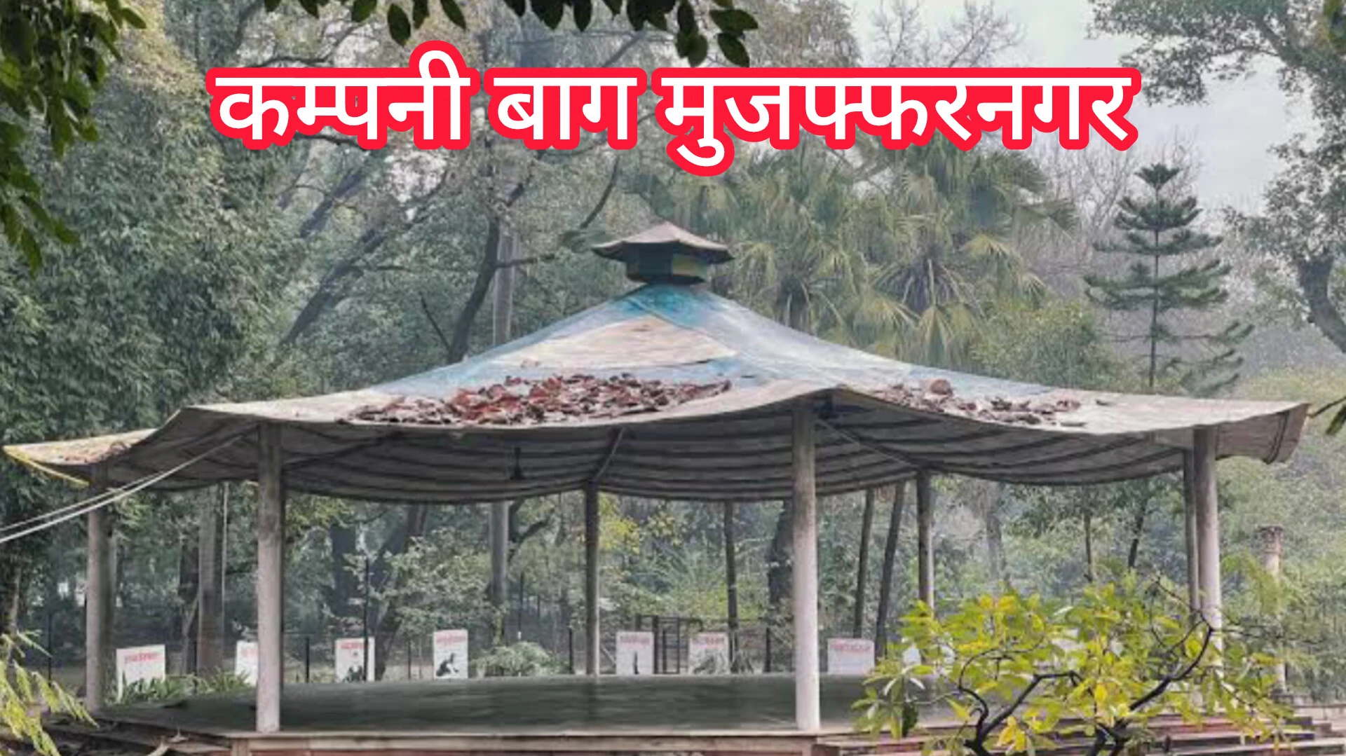 मुजफ्फरनगर: फलदार पेड़ कटवाने के प्रकरण में वन अधिकारी का ट्रांसफर