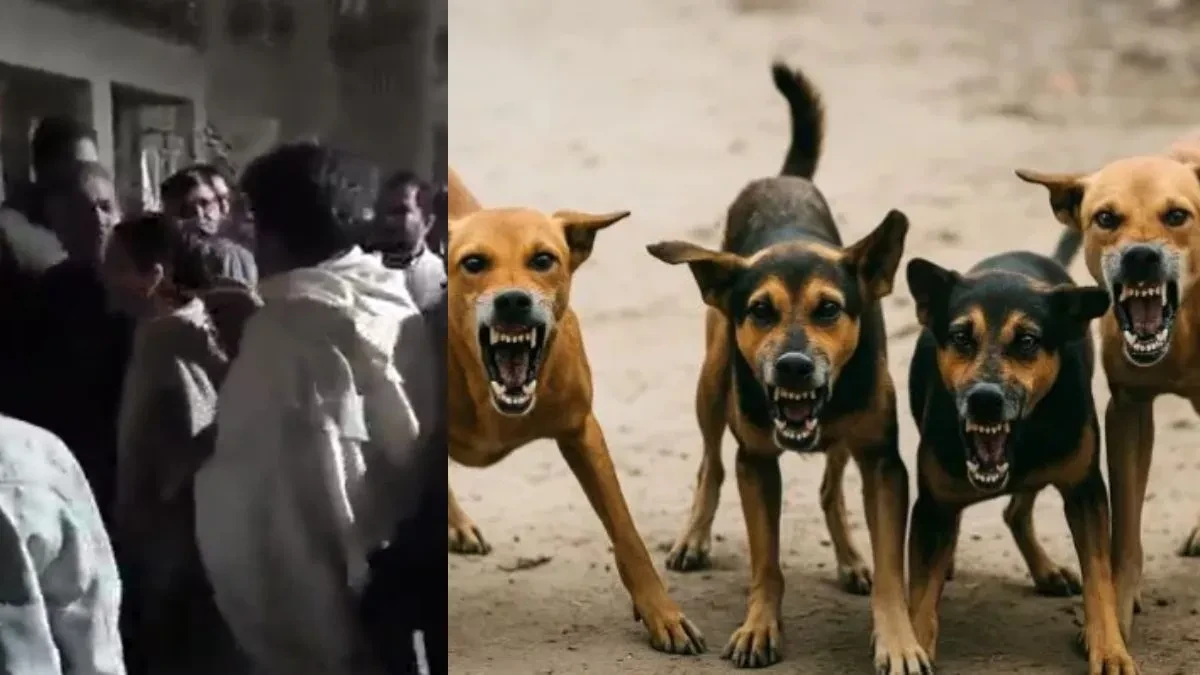 ग्रेटर नोएडा में आवारा कुत्तों का हमला, मां समेत दो बेटियों को किया घायल