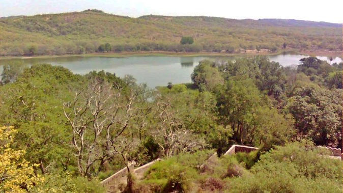 अरावली पर भ्रम फैलाया जा रहा, एनसीआर में खनन पर रोक बरकरार: केंद्र सरकार