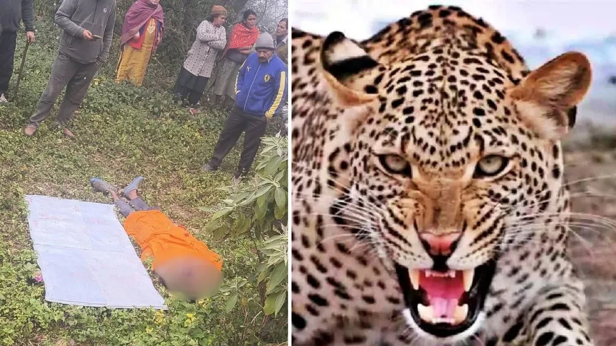 हिमाचल में आदमखोर तेंदुए का हमला, 1 की मौत, 5 घायल