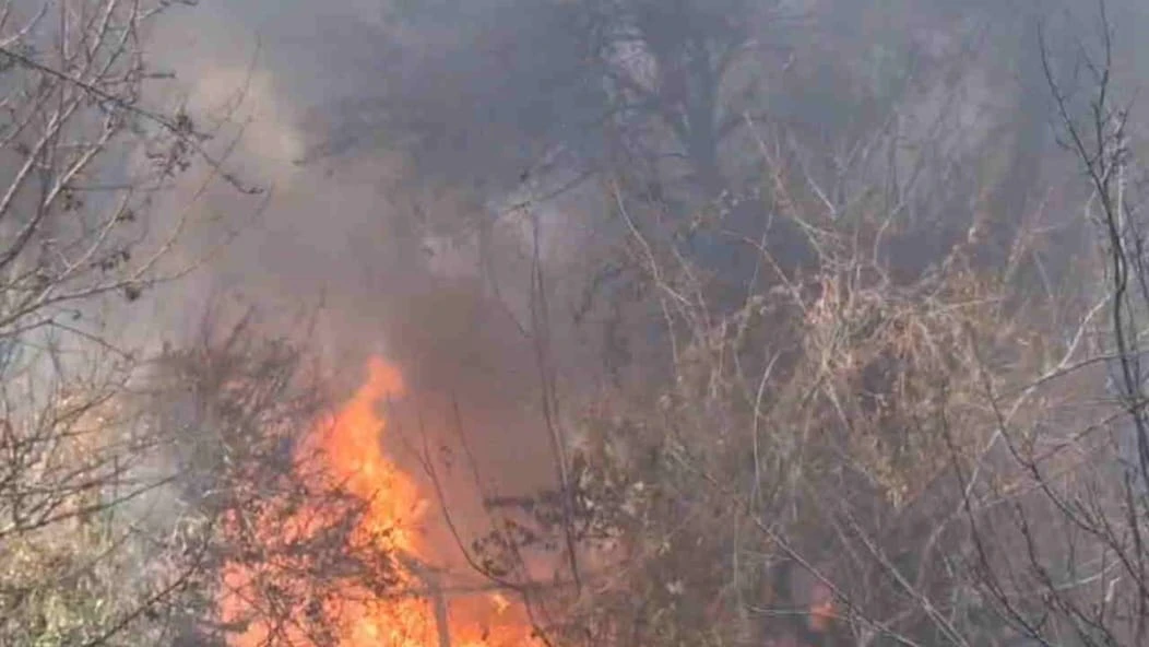 उत्तराखंड: ज्योतिर्मठ आर्मी कैंटीन के स्टोर में लगी भीषण आग, मची अफरा-तफरी