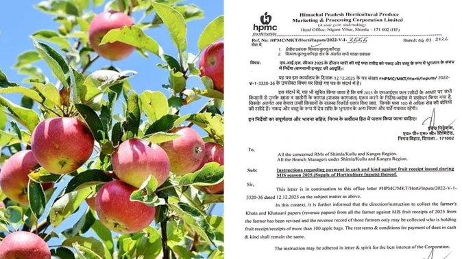 MIS नियमों में बदलाव: 100 बोरी से कम सेब पर नहीं मांगा जाएंगा राजस्व रिकॉर्ड