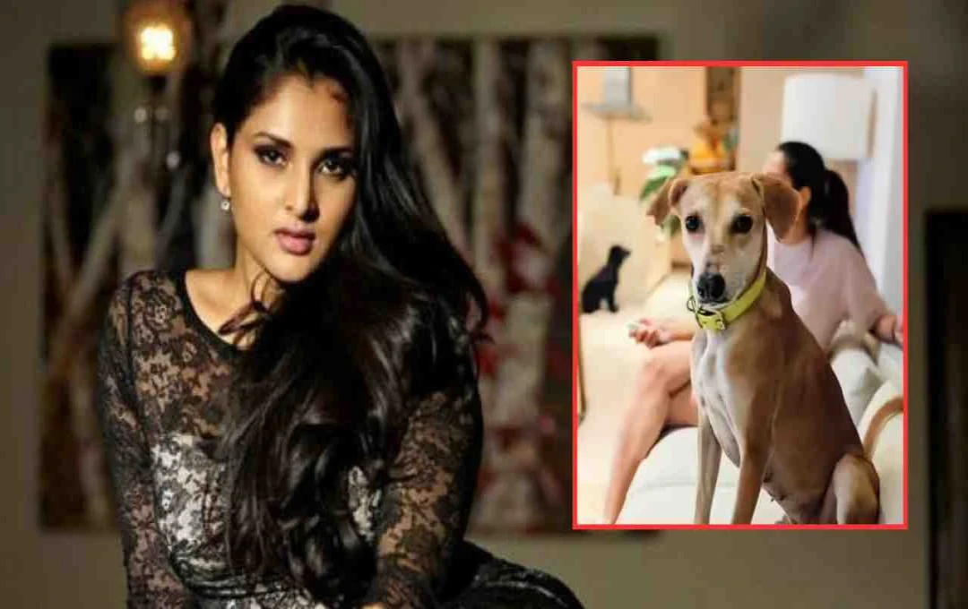 राम्या ने कुत्तों के मूड पर कोर्ट की बात पर किया कटाक्ष, पुरुषों से की तुलना