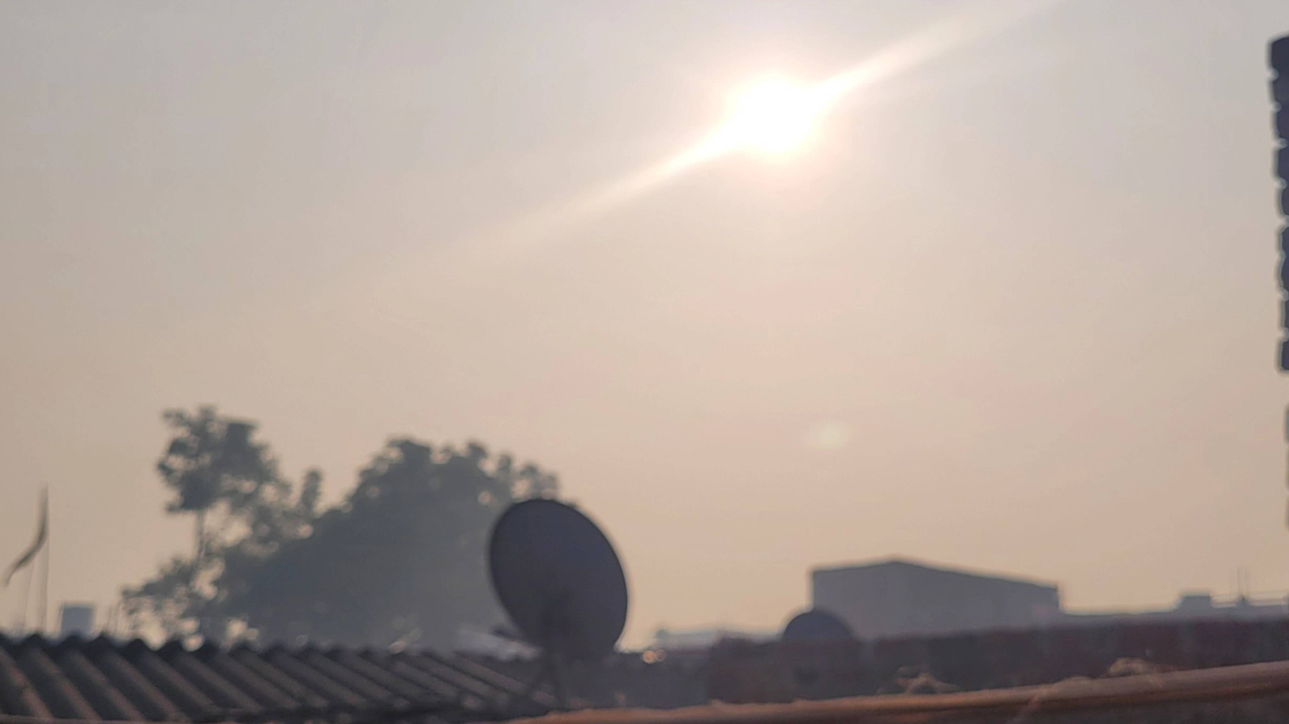 मुजफ्फरनगर: ठिठुरन के बीच राहत की धूप, लोगों ने ली राहत की सांस