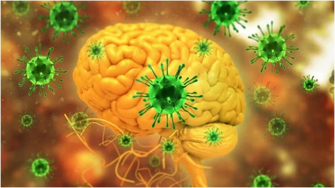 पश्चिम बंगाल में निपाह वायरस का अलर्ट, दो संदिग्ध मामले सामने आए