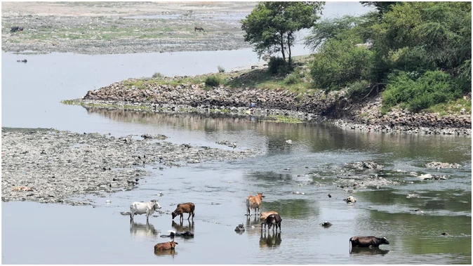 दिल्ली में यमुना पर क्रूज सेवा की तैयारी, फिलहाल केवल साफ हिस्से में सवारी संभव