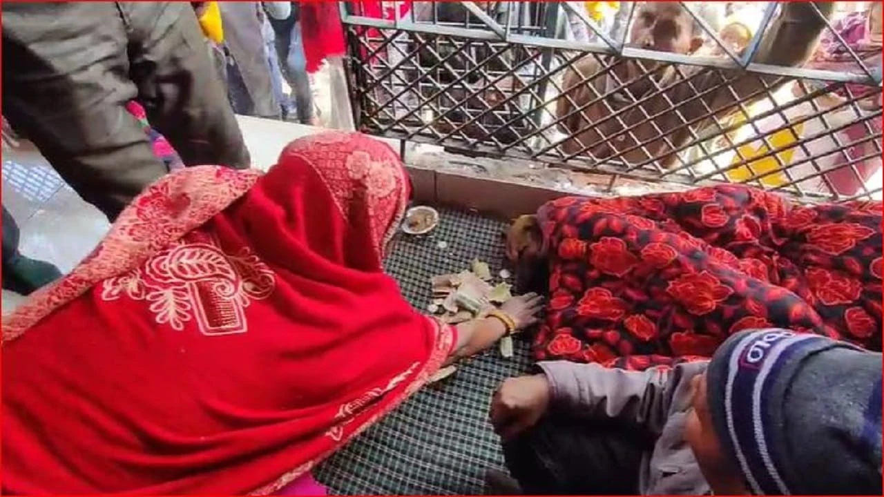 बिजनौर: 5 दिन से मंदिर में परिक्रमा करता रहा कुत्ता, हालत नाजुक, डॉक्टरों ने शुरू की ‘फ्रूट थेरेपी’