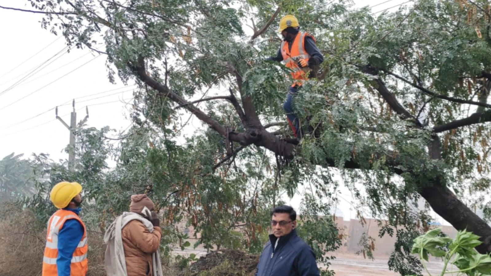 आंधी-बारिश से मुजफ्फरनगर की बिजली व्यवस्था चरमराई, दिनभर गुल रही सप्लाई
