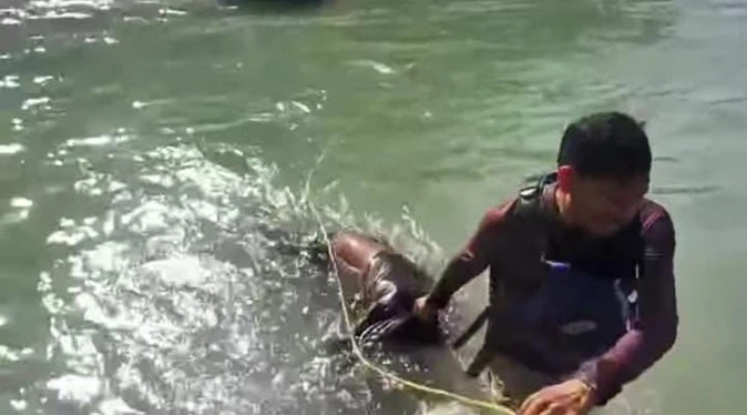 ऋषिकेश: गंगा में डूब रहे पर्यटक को गाइड विपिन शर्मा ने बचाया