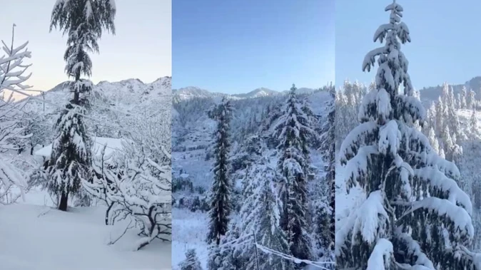 बर्फबारी और बारिश से जनजीवन अस्त-व्यस्त, हिमालयी राज्यों में अलर्ट