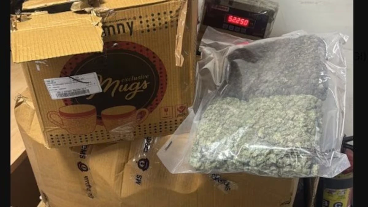 दिल्ली एयरपोर्ट पर बड़ी ड्रग्स तस्करी नाकाम, करोड़ों का गांजा बरामद