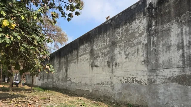 अयोध्या जेल से दो बंदी फरार; जेलर और आठ कर्मचारी निलंबित