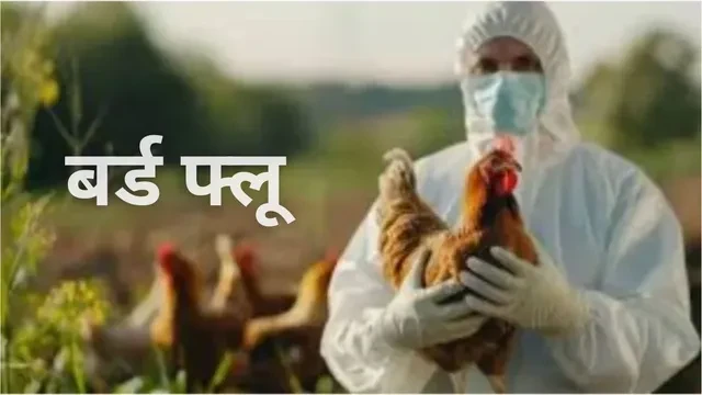 दरभंगा में बर्ड फ्लू के मामलों के बीच राजधानी में भी सतर्कता बढ़ी