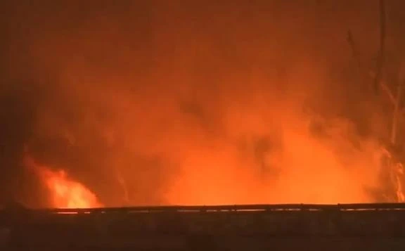 दिल्ली: पैसिफिक मॉल में आग लगने से मचा हड़कंप, फायर ब्रिगेड ने संभाला मोर्चा