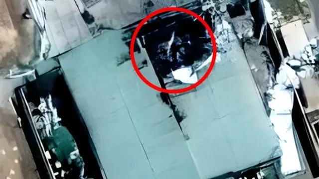 ऑपरेशन सिंदूर के निशान पर मरहम, भोलारी एयरबेस का हैंगर बहाल करने में जुटा पाकिस्तान