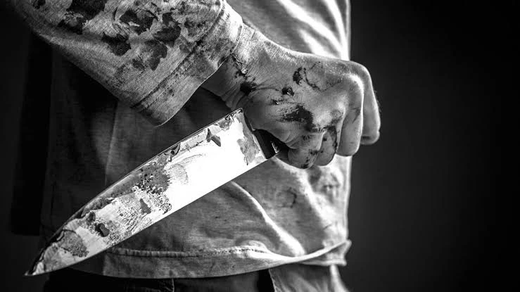 मेरठ में छोटी बहस बनी जानलेवा, युवक ने बड़े भाई का गला रेतकर की हत्या