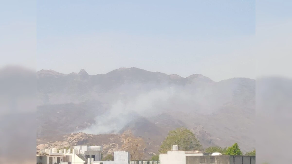 कोटपूतली-बहरोड़: अरावली की पहाड़ियों में आग, हरियाली राख में तब्दील