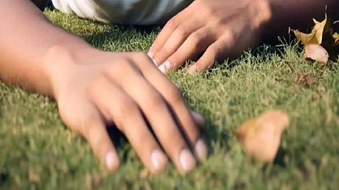 संभल में बर्तन विक्रेता की नलकूप पर पीट-पीटकर हत्या, जंगल में फेंका शव