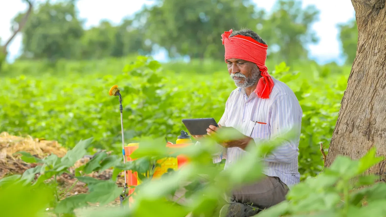 डिजिटल एप से उर्वरक वितरण शुरू, 69 हजार किसानों को मिलेगा सीधा लाभ