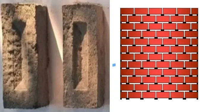 सर्दियों में गर्म, गर्मियों में ठंडी: एएमयू की नई ग्रीन ईंट से निर्माण क्रांति