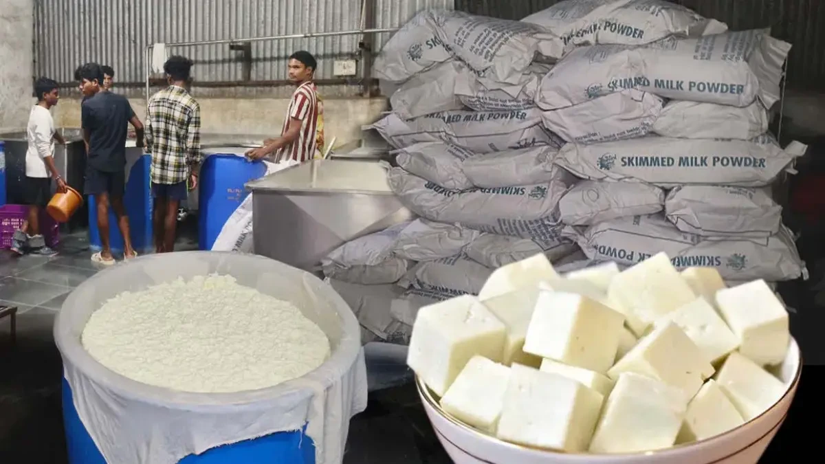 होली पर थी लोगों को बीमार करने की तैयारी: पकड़ा गया 200 किलो मिलावटी पनीर