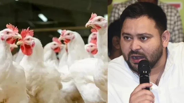 होली से पहले बर्ड फ्लू की चपेट में चिकन,  तेजस्वी यादव के घर को किया सैनिटाइज