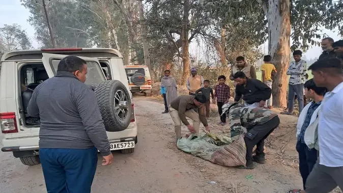 शेरकोट-नंदगांव मार्ग पर नर गुलदार का मिला शव, पोस्टमार्टम के लिए भेजा गया