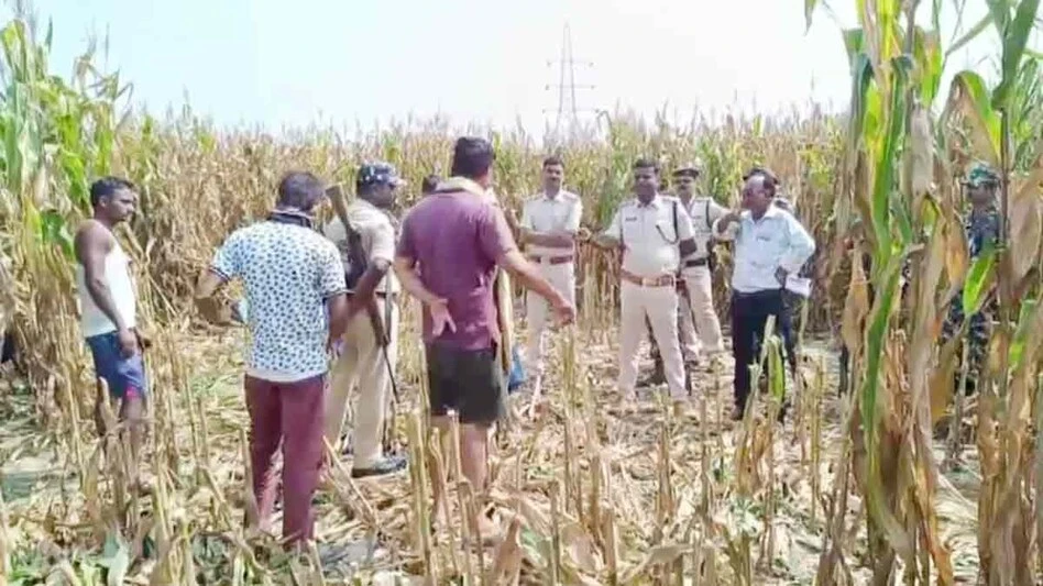 लखीमपुर खीरी में महिला का अपहरण और हत्या, शव खेत से बरामद