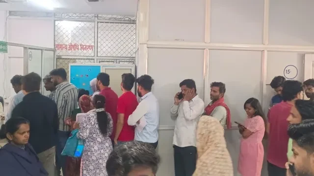 गाजियाबाद में कुत्तों से ज्यादा बिल्लियों के काटने के मामले, आंकड़ों ने चौंकाया