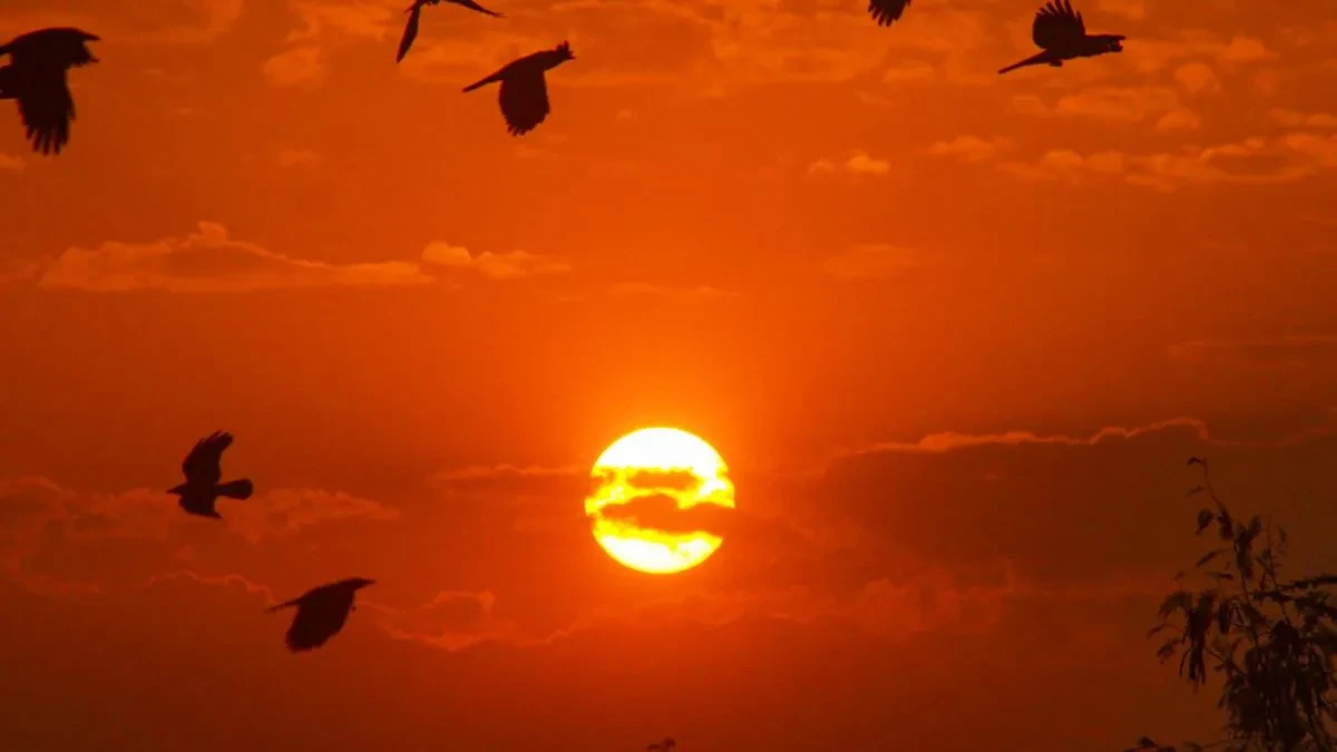 मार्च में ही गर्मी की मार, तेज धूप और बढ़ती गर्मी से बेहाल यूपी के लोग