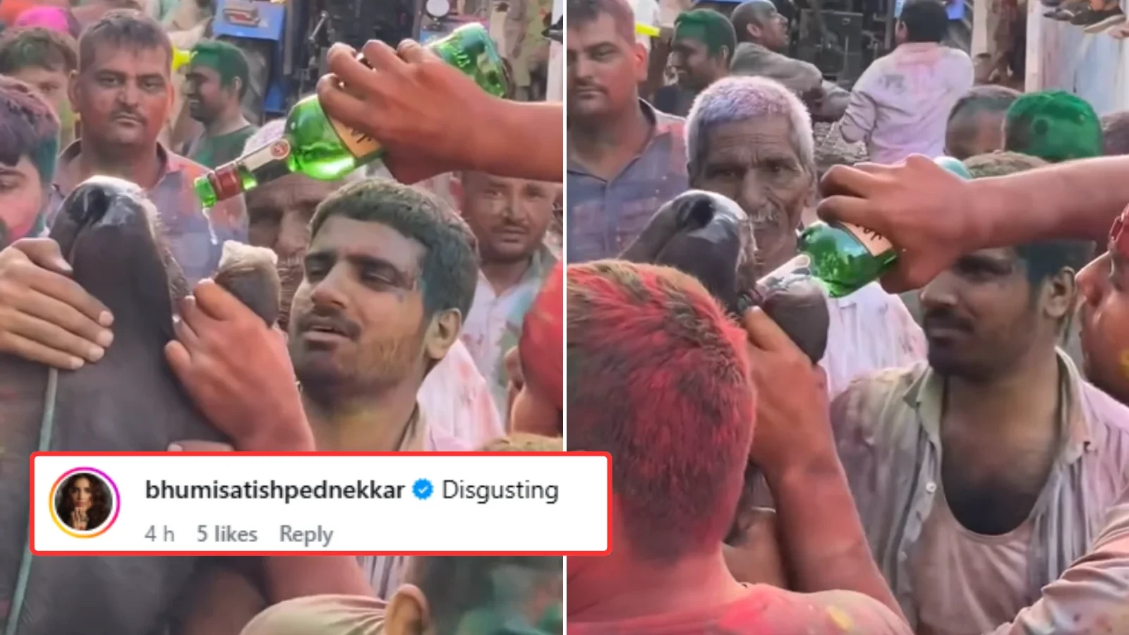 होली पर झोटे को पिलाई शराब, वीडियो वायरल होने के बाद अब केस दर्ज