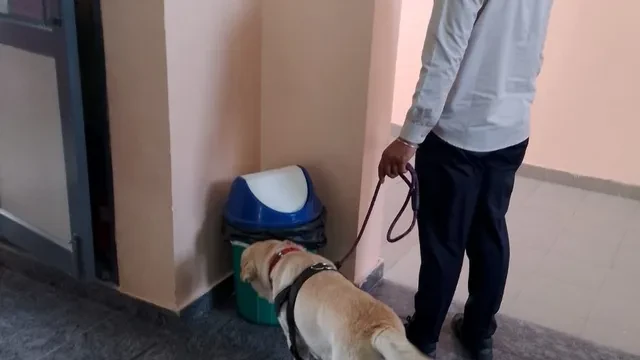 गुरुग्राम में स्कूलों को धमकी भरे ई-मेल, पुलिस ने बढ़ाई सुरक्षा