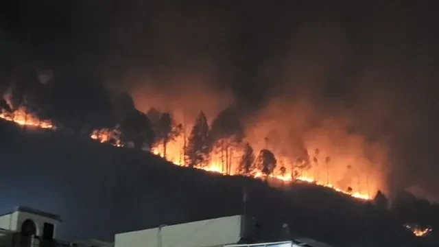 श्रीनगर गढ़वाल के जंगलों में भीषण आग, वन संपदा को भारी नुकसान