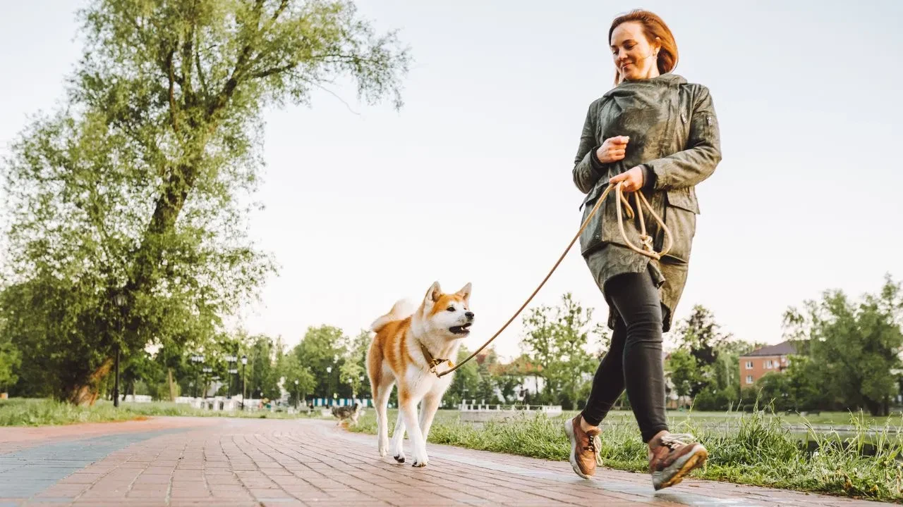 10 हजार कदम चलने के फायदे और डाइट टिप्स: वॉकिंग को बनाएं हेल्दी रूटीन