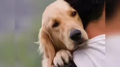 दिल्ली में कड़े होंगे एमसीडी के नियम: बिना पट्टे के कुत्ता घुमाने पर ₹1000 जुर्माना