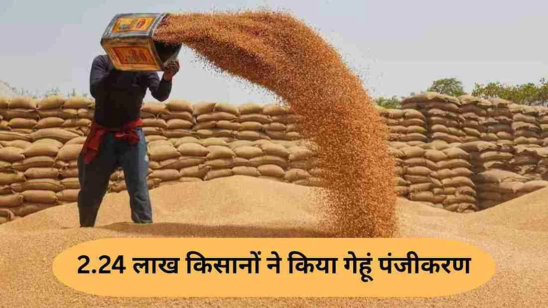 यूपी में शुरू हुई गेहूं की खरीद, किसानों को इस बार 48 घंटे में मिलेगा पैसा