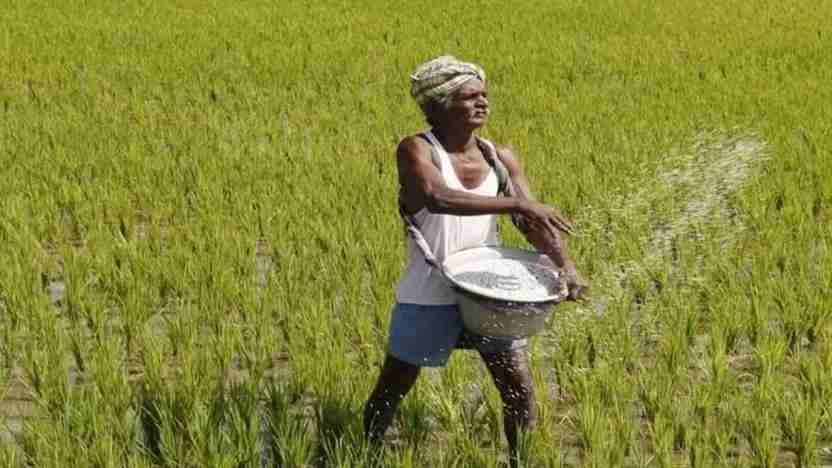 बीज और उर्वरक का पर्याप्त स्टॉक, ईरान-अमेरिका तनाव के बीच सरकार का भरोसा