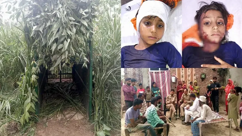 मुरादाबाद: कांठ क्षेत्र में तेंदुए का हमला, आठ साल की छात्रा गंभीर रूप से घायल